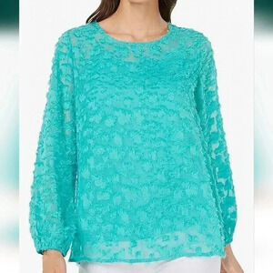 Alfani Women's Leopard Textured Sheer Pullover Blouse